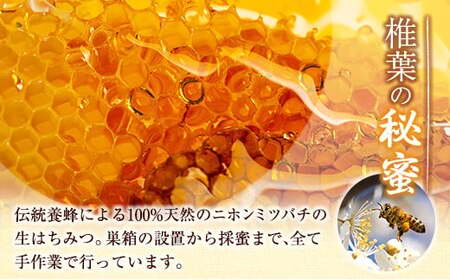 宮崎県産 はちみつ 「椎葉の秘蜜」 大 250g瓶 1個