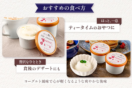 牛乳屋さんが作った アイスヨーグルト セット 80g 9個 カップ 宮崎県産