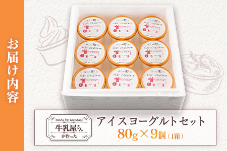 牛乳屋さんが作った アイスヨーグルト セット 80g 9個 カップ 宮崎県産