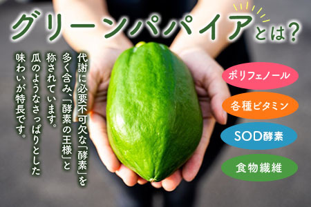 クラフト酵素シロップ グリーンパパイア 250ml×3個 宮崎県産