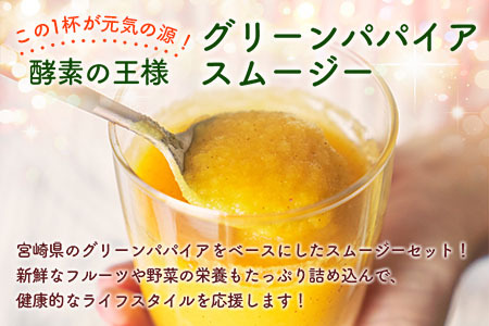 南国酵素スムージー グリーンパパイア 200ml×6本 全6種 宮崎県産