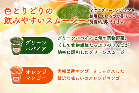 南国酵素スムージー グリーンパパイア 200ml×6本 全6種 宮崎県産