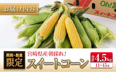 ◆朝採れスイートコーン (合計約4.5kg) 宮崎県産