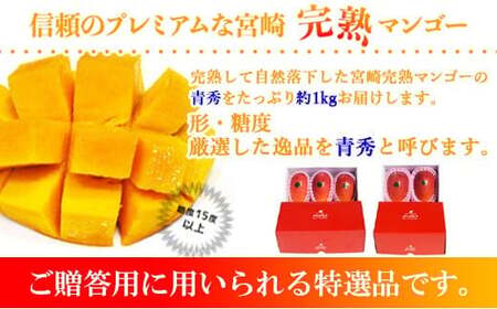宮崎県産完熟マンゴー[青秀] 合計約1kg（2～3玉）