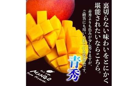 宮崎県産完熟マンゴー[青秀] 合計約2kg（4～6玉）