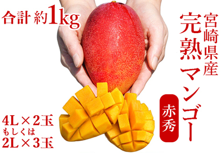 宮崎県産完熟マンゴー[赤秀] 合計約1kg（2～3玉）