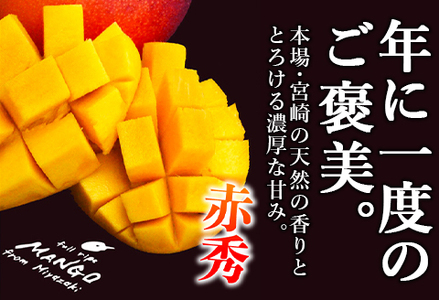 宮崎県産完熟マンゴー[赤秀] 合計約1kg（2～3玉）