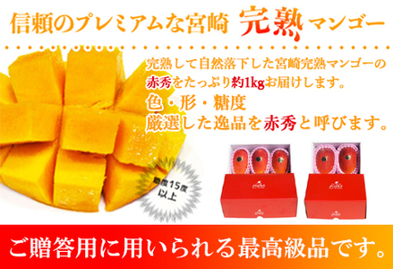 宮崎県産完熟マンゴー[赤秀] 合計約1kg（2～3玉）