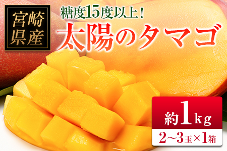 ◆糖度15度以上！宮崎県産 「太陽のタマゴ」（合計約1kg）