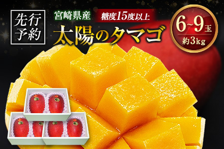 ≪先行予約≫ 宮崎県産 完熟マンゴー「太陽のタマゴ」約3kg 計6～9玉 2026年発送 ブランド 南国 トロピカル フルーツ 果物 くだもの 化粧箱入り