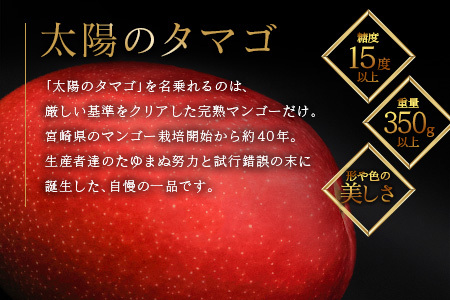 ≪先行予約≫ 宮崎県産 完熟マンゴー「太陽のタマゴ」約3kg 計6～9玉 2026年発送 ブランド 南国 トロピカル フルーツ 果物 くだもの 化粧箱入り