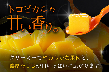 ≪先行予約≫ 宮崎県産 完熟マンゴー「太陽のタマゴ」約3kg 計6～9玉 2026年発送 ブランド 南国 トロピカル フルーツ 果物 くだもの 化粧箱入り