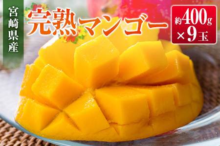 ◆宮崎県産 完熟マンゴー(9玉)