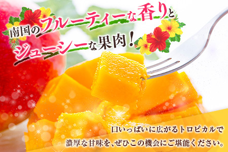◆宮崎県産 完熟マンゴー(9玉)