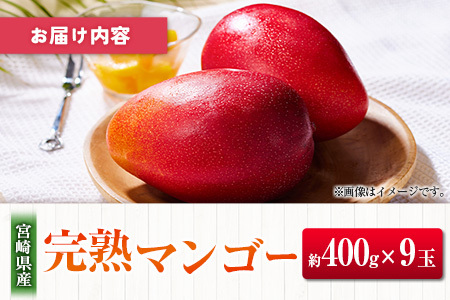 ◆宮崎県産 完熟マンゴー(9玉)