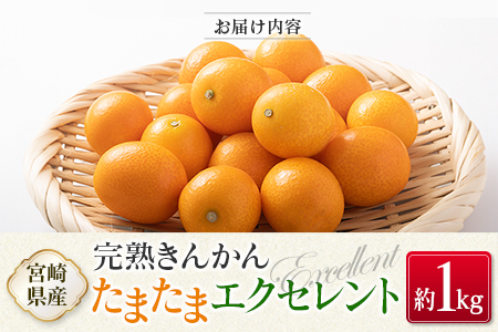◇宮崎県産 完熟きんかん「たまたまエクセレント」 糖度18度以上 約1kg