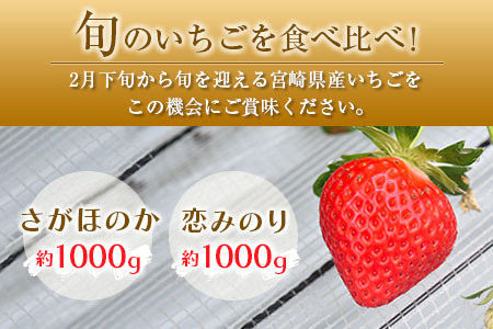 ふるさと納税】【訳あり】【先行予約】【2回定期便】高級 いちご 恋