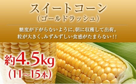 ◆「南国宮崎発」　いちご・完熟マンゴー・スイートコーン　3回定期便