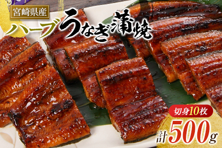 ◆宮崎県産ハーブうなぎ蒲焼 切身10枚(計500g)