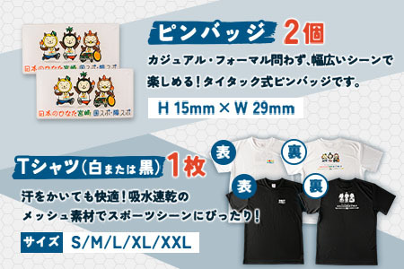 「日本のひなた宮崎 国スポ・障スポ応援企画」グッズ詰め合わせ3点セット