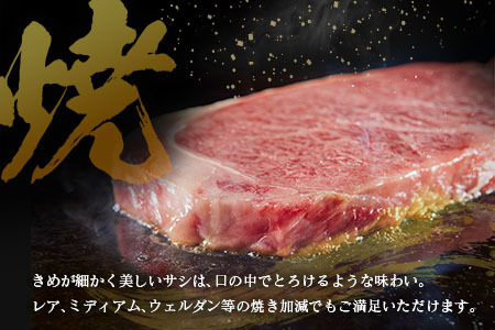 宮崎県産 倉薗牧場 A4等級以上 宮崎牛 サーロインステーキ 2枚 セット