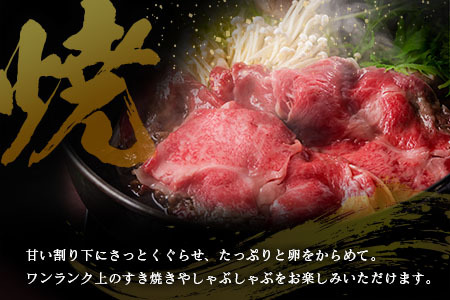 宮崎県産 倉薗牧場 A4等級以上 宮崎牛 霜降り 特上 サーロイン スライス