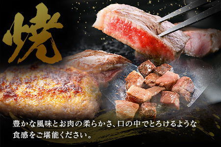 【定期便】宮崎県 倉薗牧場 ヒレステーキなど色々楽しめる満足定期便コース 計6回