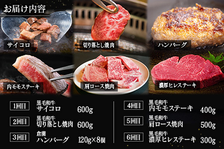 【定期便】宮崎県 倉薗牧場 ヒレステーキなど色々楽しめる満足定期便コース 計6回