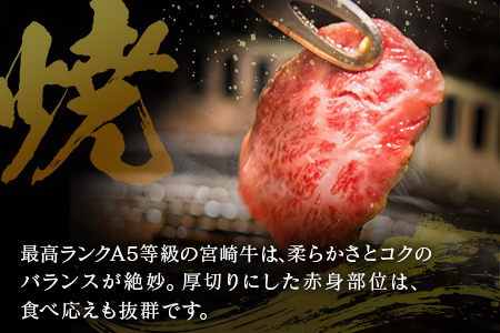 宮崎県産 倉薗牧場 A5等級 宮崎牛 赤身づくし 厚切り 焼肉用 2パック