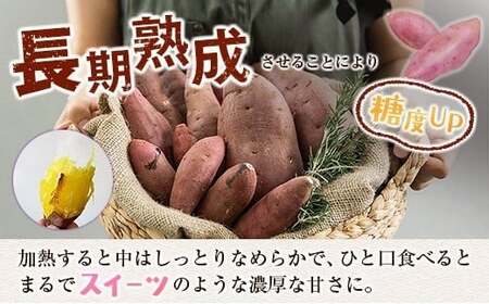 長期熟成 紅はるか 計3kg 宮崎県都城市産 さつまいも サツマイモ