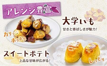 長期熟成 紅はるか 計3kg 宮崎県都城市産 さつまいも サツマイモ