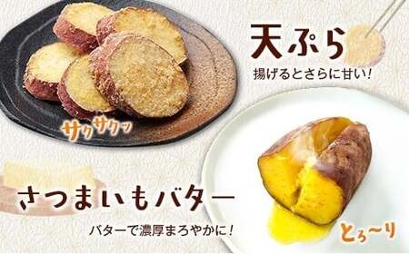 長期熟成 紅はるか 計3kg 宮崎県都城市産 さつまいも サツマイモ