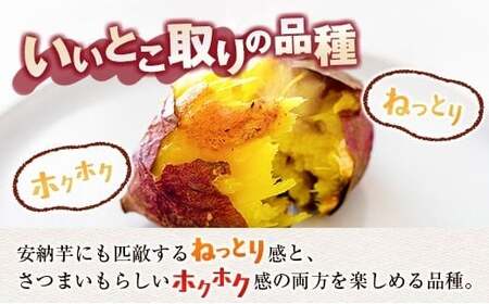 長期熟成 紅はるか 計5kg 宮崎県都城市産 さつまいも サツマイモ