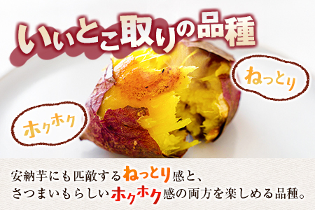 <定期便>3回お届け!長期熟成 紅はるか 計3kg(1kg×3回)宮崎県都城市産 さつまいも サツマイモ