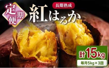 ＜定期便＞3回お届け！長期熟成 紅はるか 計15kg（5kg×3回）宮崎県都城市産 さつまいも サツマイモ