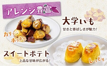 ＜定期便＞3回お届け！長期熟成 紅はるか 計15kg（5kg×3回）宮崎県都城市産 さつまいも サツマイモ