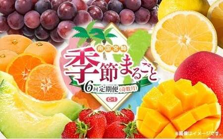 【奇数月 6回定期便】旬 人気 フルーツ 南国宮崎産 マンゴー ピオーネ いちご みかん メロン 日向夏 柑橘 ぶどう 果物 詰め合わせ 宮崎県 九州<C-1コース M310>