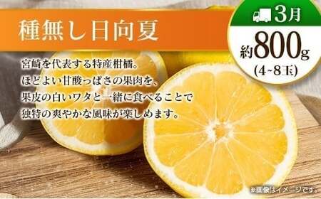 【奇数月 6回定期便】旬 人気 フルーツ 南国宮崎産 マンゴー ピオーネ いちご みかん メロン 日向夏 柑橘 ぶどう 果物 詰め合わせ 宮崎県 九州<C-1コース M310>