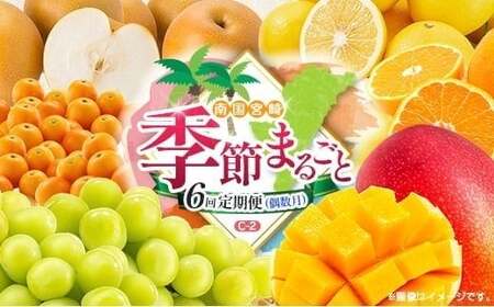 【偶数月 6回定期便】旬 人気 フルーツ 南国宮崎産 マンゴー 金柑たまたま シャインマスカット みかん 梨 日向夏 柑橘 きんかん ぶどう 果物 詰め合わせ 宮崎県 九州＜C-2コース M320＞