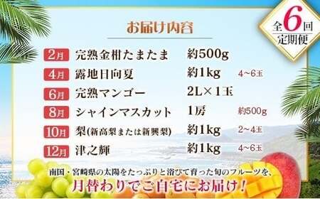 【偶数月 6回定期便】旬 人気 フルーツ 南国宮崎産 マンゴー 金柑たまたま シャインマスカット みかん 梨 日向夏 柑橘 きんかん ぶどう 果物 詰め合わせ 宮崎県 九州＜C-2コース M320＞
