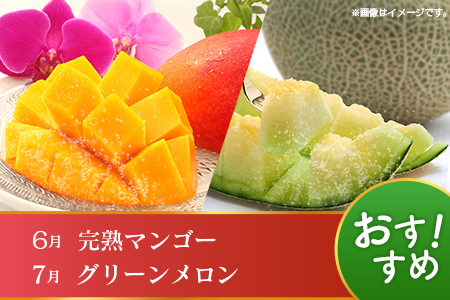 【10回定期便】旬 人気 フルーツ 南国宮崎産 マンゴー 金柑たまたま シャインマスカット ピオーネ いちご みかん 日向夏 メロン 柑橘 きんかん ぶどう 果物 詰め合わせ 宮崎県 九州<E-3コース M700>