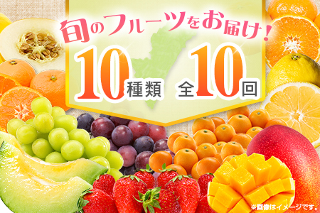 【10回定期便】旬 人気 フルーツ 南国宮崎産 マンゴー 金柑たまたま シャインマスカット ピオーネ いちご みかん 日向夏 メロン 柑橘 きんかん ぶどう 果物 詰め合わせ 宮崎県 九州<E-3コース M700>