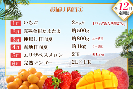 【12回定期便】旬 人気 フルーツ 南国宮崎産 マンゴー 金柑たまたま シャインマスカット ピオーネ いちご みかん 日向夏 メロン 梨 柑橘 きんかん ぶどう 果物 詰め合わせ 宮崎県 九州 1年 毎月お届け＜Cコース M300＞