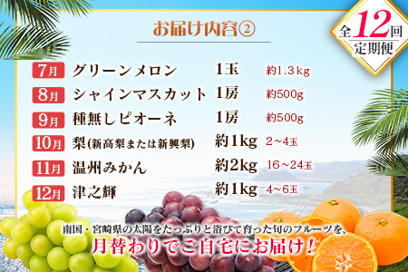 【12回定期便】旬 人気 フルーツ 南国宮崎産 マンゴー 金柑たまたま シャインマスカット ピオーネ いちご みかん 日向夏 メロン 梨 柑橘 きんかん ぶどう 果物 詰め合わせ 宮崎県 九州 1年 毎月お届け＜Cコース M300＞