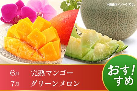 【12回定期便】旬 人気 フルーツ 南国宮崎産 マンゴー 金柑たまたま シャインマスカット ピオーネ いちご みかん 日向夏 メロン 梨 柑橘 きんかん ぶどう 果物 詰め合わせ 宮崎県 九州 1年 毎月お届け＜Cコース M300＞