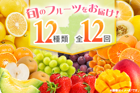 【12回定期便】旬 人気 フルーツ 南国宮崎産 マンゴー 金柑たまたま シャインマスカット ピオーネ いちご みかん 日向夏 メロン 梨 柑橘 きんかん ぶどう 果物 詰め合わせ 宮崎県 九州 1年 毎月お届け＜Cコース M300＞