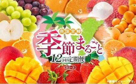 【12回定期便】旬 人気 フルーツ 南国宮崎産 マンゴー ライチ 金柑たまたまエクセレント シャインマスカット ピオーネ いちご みかん 梨 柑橘 太陽のタマゴ きんかん たまたま ぶどう 果物 詰め合わせ 宮崎県 九州 1年 毎月お届け<Dコース M400>