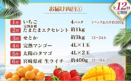 【12回定期便】旬 人気 フルーツ 南国宮崎産 マンゴー ライチ 金柑たまたまエクセレント シャインマスカット ピオーネ いちご みかん 梨 柑橘 太陽のタマゴ きんかん たまたま ぶどう 果物 詰め合わせ 宮崎県 九州 1年 毎月お届け<Dコース M400>