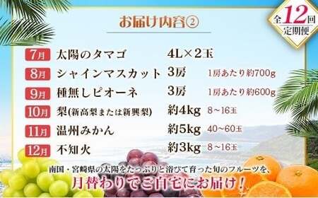 【12回定期便】旬 人気 フルーツ 南国宮崎産 マンゴー ライチ 金柑たまたまエクセレント シャインマスカット ピオーネ いちご みかん 梨 柑橘 太陽のタマゴ きんかん たまたま ぶどう 果物 詰め合わせ 宮崎県 九州 1年 毎月お届け<Dコース M400>