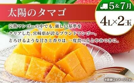 【12回定期便】旬 人気 フルーツ 南国宮崎産 マンゴー ライチ 金柑たまたまエクセレント シャインマスカット ピオーネ いちご みかん 梨 柑橘 太陽のタマゴ きんかん たまたま ぶどう 果物 詰め合わせ 宮崎県 九州 1年 毎月お届け<Dコース M400>